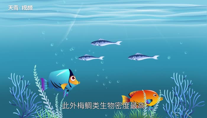 西沙群岛在哪里 西沙群岛在哪个省