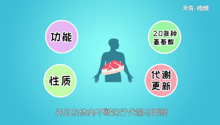 蛋白质含量高的食物 有哪些食物蛋白质含量高