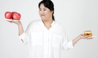 胖子的自律方法（肥胖 自律）