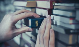 真实的人生语录（真实的人生语录图片）