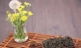 蒲公英茶有什么功效 蒲公英茶有什么功效,适合什么人饮用