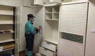 什么东西去除甲醛味最快 什么东西去除甲醛味最快