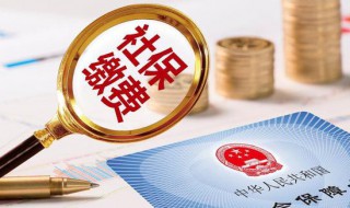 社保怎么缴纳（北京个人社保怎么缴纳）