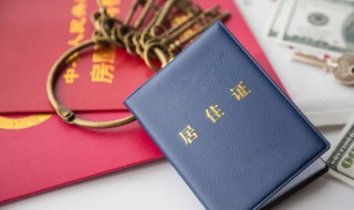 怎么办理深圳居住证（怎么办理深圳居住证需要什么材料）