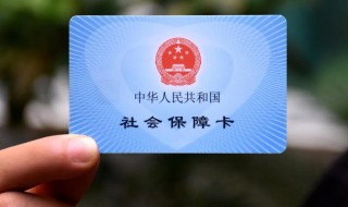 怎么停社保（员工离职了怎么停社保）