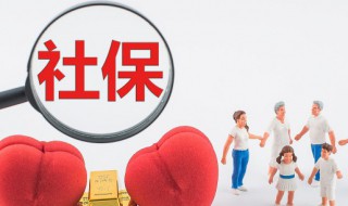 怎么补交医保（大学生怎么补交医保）