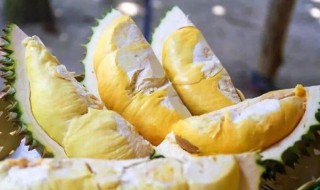 榴莲剥开没熟怎么办 榴莲剥开没熟怎么办壳子已经扔了