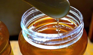 吃土蜂蜜的禁忌 吃土蜂蜜的禁忌是什么