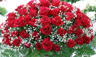 玫瑰花包装方法（玫瑰花包装方法视频）