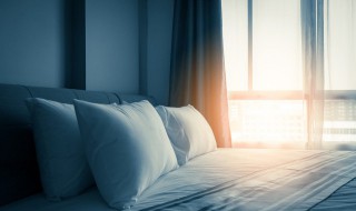 高楼层的蟑螂从哪里来的 高楼蟑螂是从哪里来的