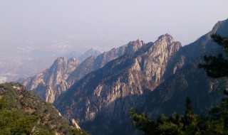 为什么泰山爬单不爬双（泰山爬单不爬双是什么意思）