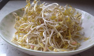 怎么发豆芽简单做法（怎么发豆芽简单做法窍门）
