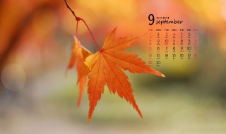 9月份节日 9月份节日纪念日