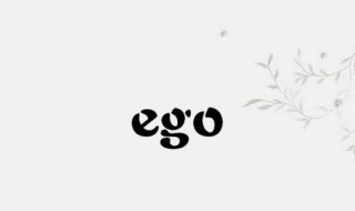 ego是什么意思中文（egoo是什么意思）