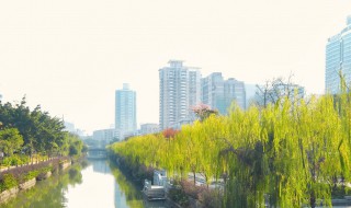 中国十大宜居城市 中国十佳宜居城市排行榜