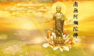 请佛像回家有什么讲究（请佛像回家好不好）