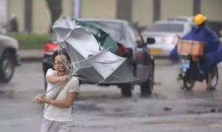 一般台风来了有雨吗（台风来了为啥要下雨）