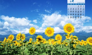 9月份的结婚黄道吉日 9月份的结婚黄道吉日是哪几天