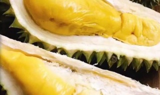 带壳榴莲储存方法（带壳榴莲储存方法图解）