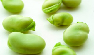 蚕豆保鲜及储存方法 蚕豆的保鲜方法