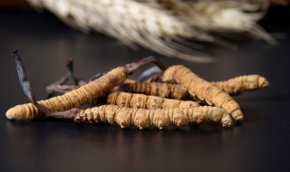 虫草如何清洗（虫草如何清洗和保存方法）