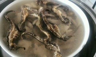 海马如何清洗（海马如何清洗保养）