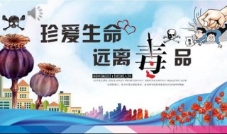 学校禁毒宣传文案 校园禁毒文案