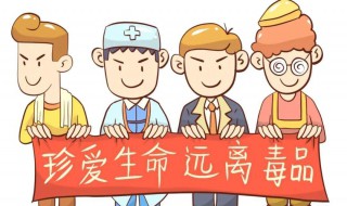 中国禁毒宣传日（国家禁毒教育宣传日）