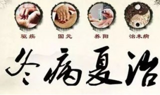 什么是三伏调理（什么是三伏调理饮食）