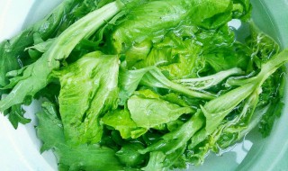 青菜如何清洗 青菜如何清洗可以洗掉虫子