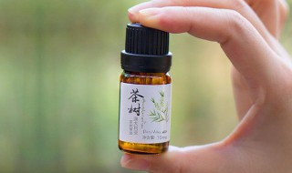 茶树精油的作用和功效（蕙芷茶树精油的作用和功效）