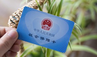 社保怎么网上缴费（2022社保怎么网上缴费）