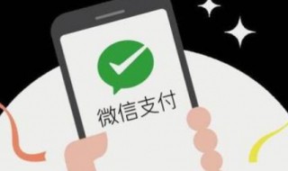 微信怎么扫码付款（坐公交车微信怎么扫码付款）