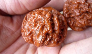 文玩核桃如何清洗 文玩核桃如何清洗视频大全