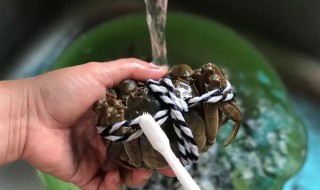 如何清洗大闸蟹（如何清洗大闸蟹内脏）