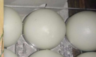 孔圣枕中丹的功效与作用 孔圣枕中丹的功效与作用儿童能用吗