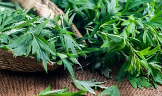 艾草挂门中间吗（艾草挂门的哪边）