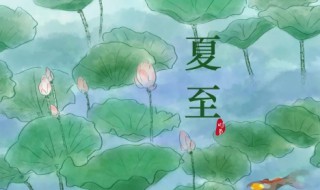 夏至后面的节气是什么（夏至后面的节气是什么）