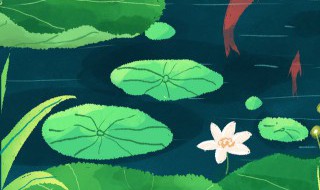 夏至后节气（夏至节气诗歌）