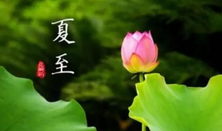 夏至是夏天结束了吗 夏至是结束还是开始