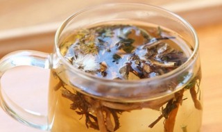 喉咙痛能喝蒲公英水吗 喉咙疼能喝蒲公英水吗
