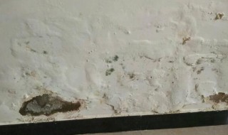 墙面反碱怎么办（墙面泛碱的处理办法）