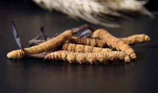 虫草发霉还能吃吗（虫草发霉还能吃吗,吃了会怎样）