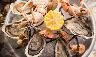各种海鲜选购及食用禁忌知识（各种海鲜选购及食用禁忌知识讲解）