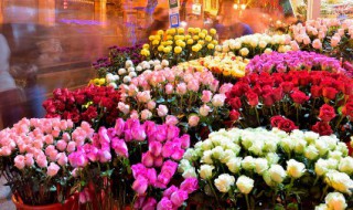 高铁可以带鲜花上去吗（高铁可以带鲜花么）