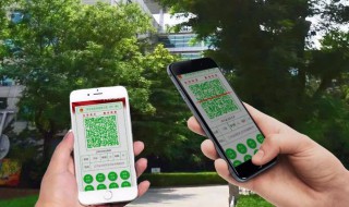 金色健康码怎么弄（金色健康码怎么弄微信）