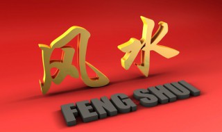 鹦哥鱼的风水学应用（鹦鹉鱼的风水）