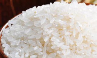 冲泡米饭的原理 冲泡米饭的原理和作用
