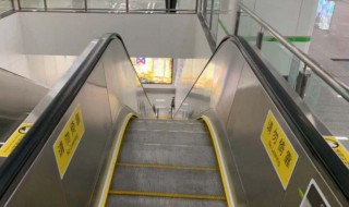 电梯怎么坐 电梯怎么坐教学视频