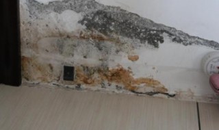 检测水管漏水的仪器（水管测漏仪）